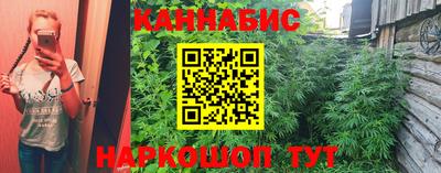 дмт Кинель