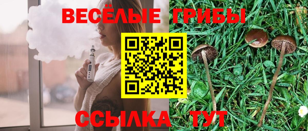 Галлюциногенные грибы Psilocybe Верхняя Пышма