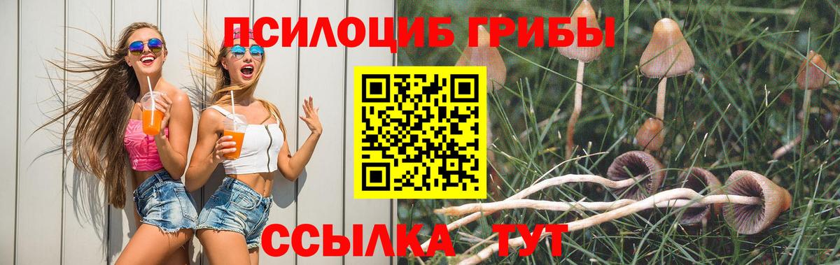 где найти   Вход с VPN  Верхняя Пышма  Псилоцибиновые грибы ЛСД 